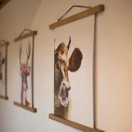 Rauschbergblick 公寓 切明